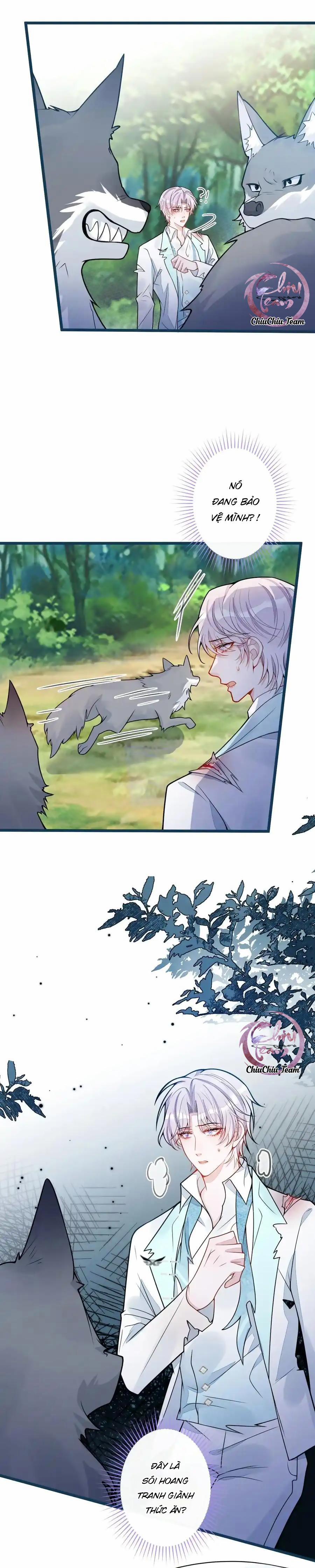 Sói Báo Ơn (END) 56 trang 8