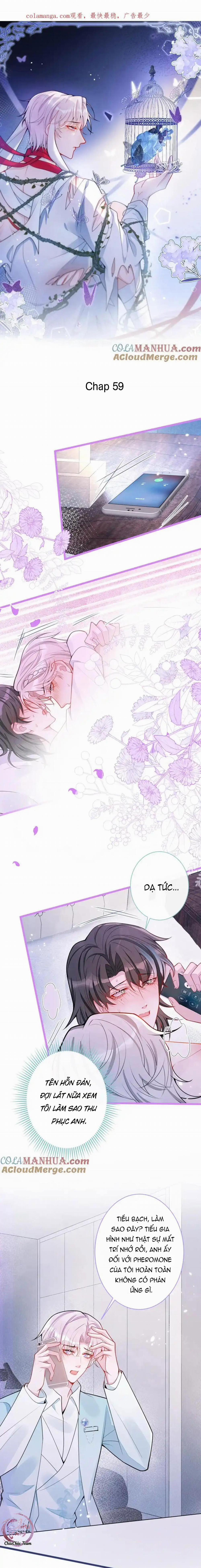 Sói Báo Ơn (END) 59 trang 0