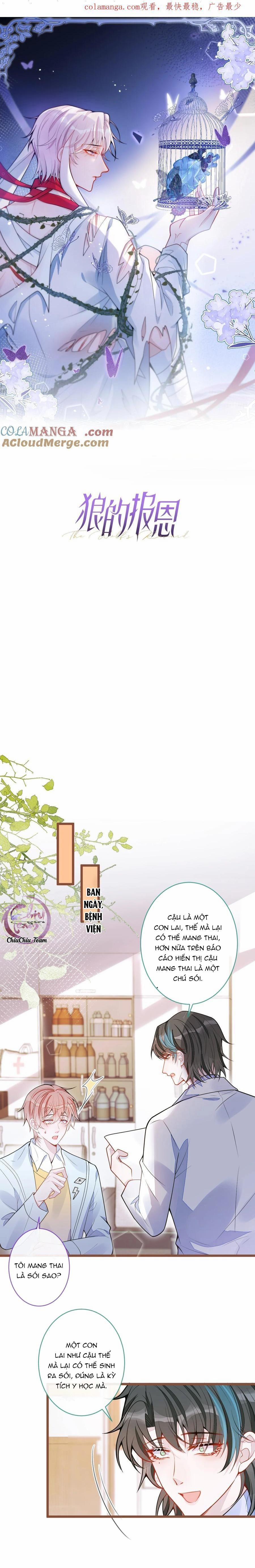 Sói Báo Ơn (END) 66 trang 0