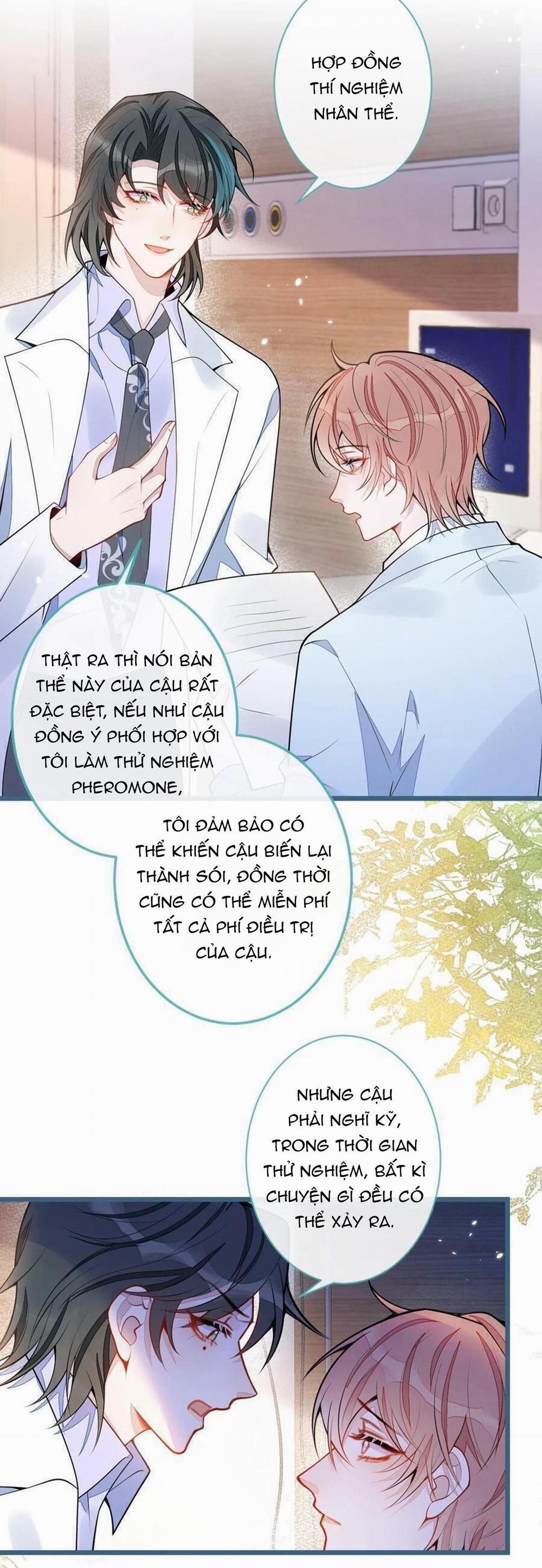 Sói Báo Ơn 52 trang 19