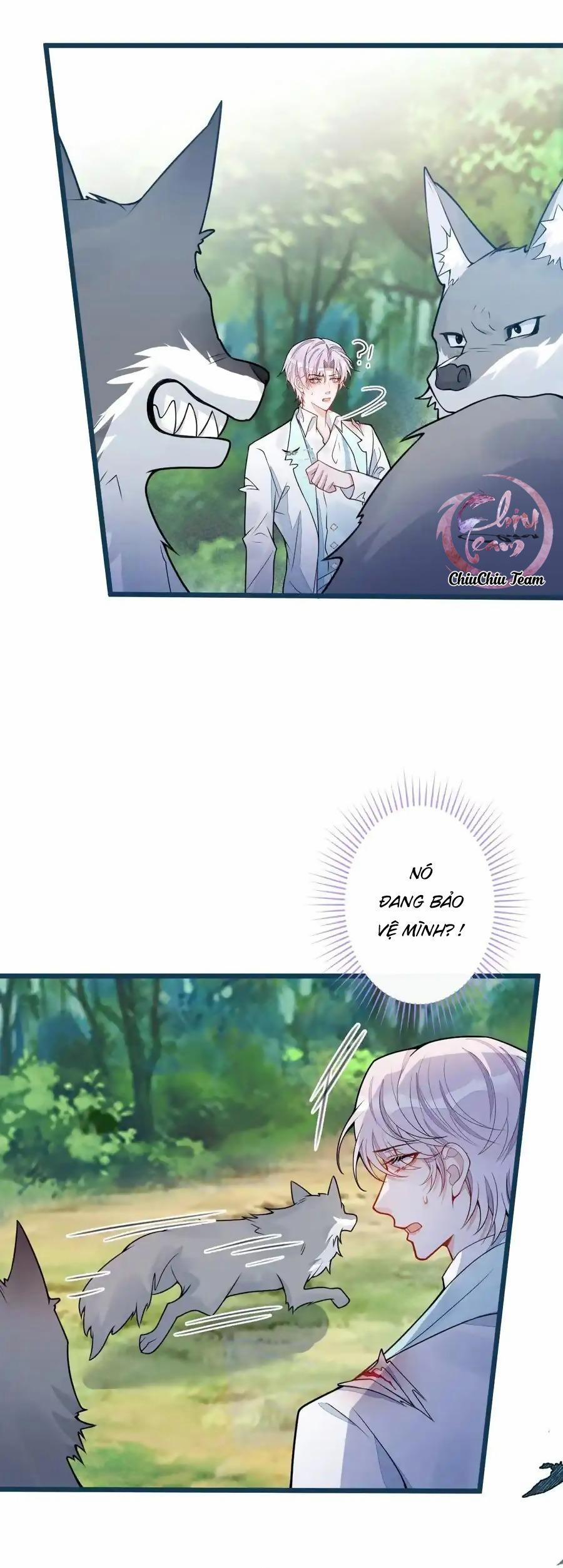 Sói Báo Ơn 54 trang 11
