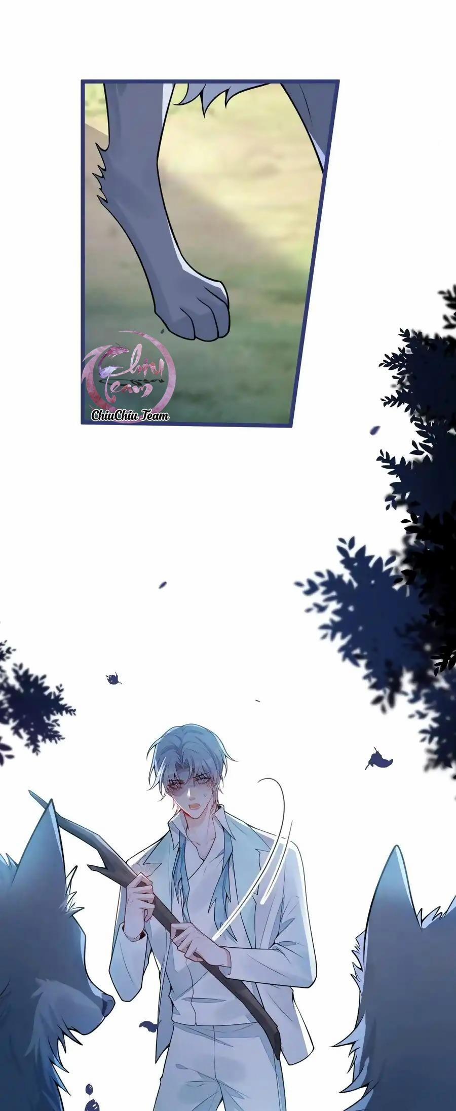 Sói Báo Ơn 54 trang 5