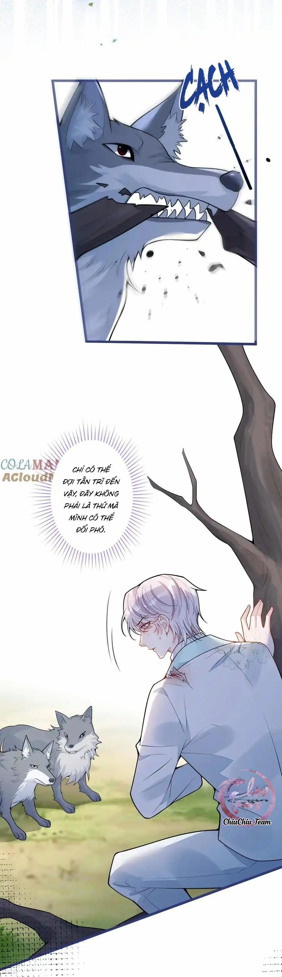Sói Báo Ơn 54 trang 7