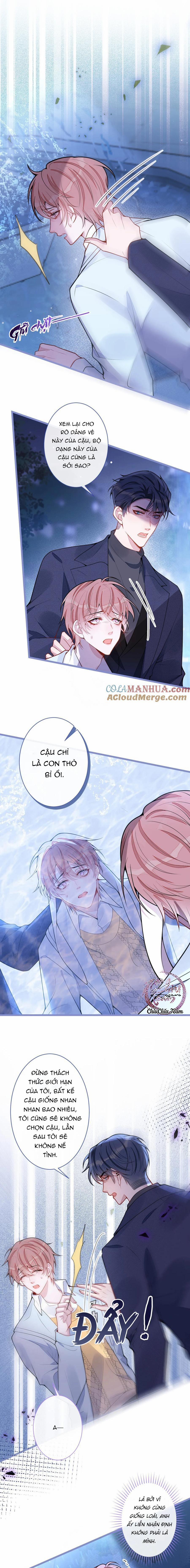 Sói Báo Ơn 55 trang 7