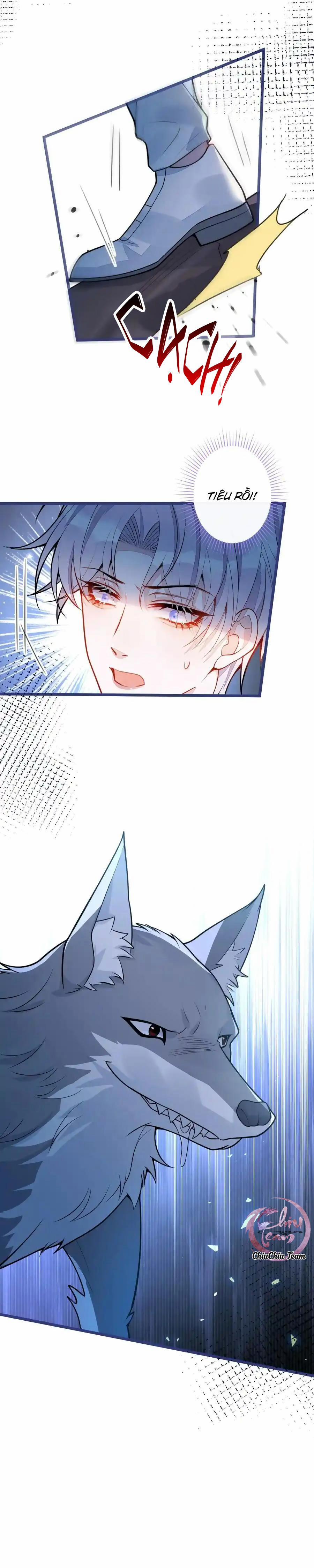 Sói Báo Ơn 56 trang 6