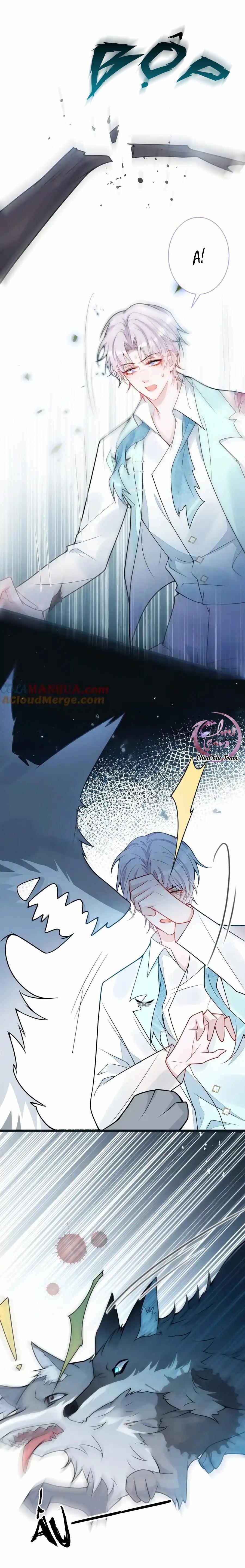 Sói Báo Ơn 56 trang 7