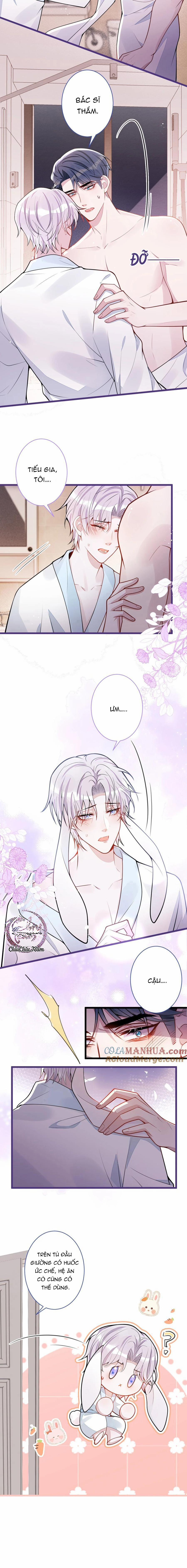 Sói Báo Ơn 58 trang 5