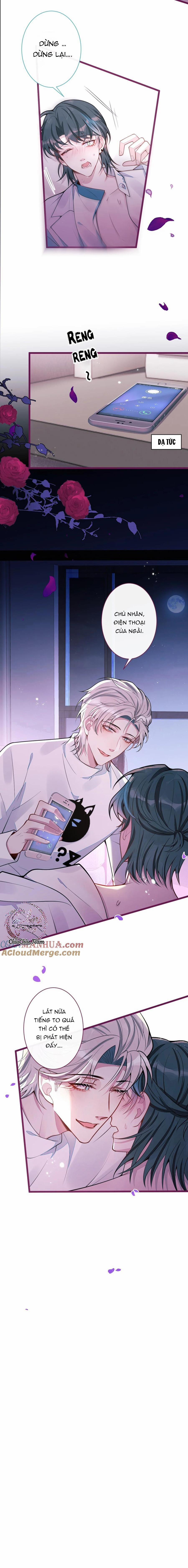 Sói Báo Ơn 58 trang 8