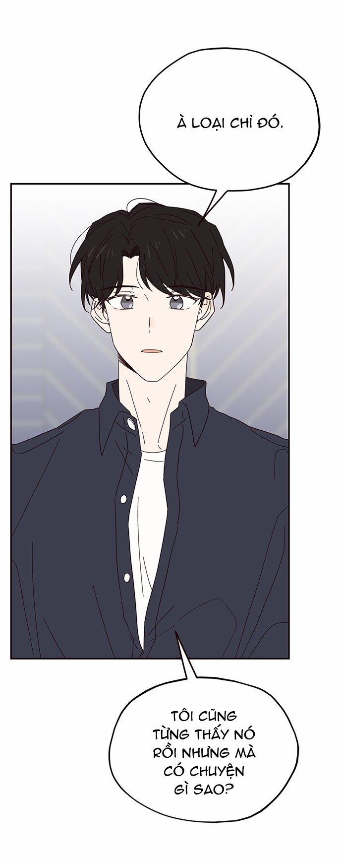 Sợi Chỉ Nhân Duyên Của Sarang 28 trang 13