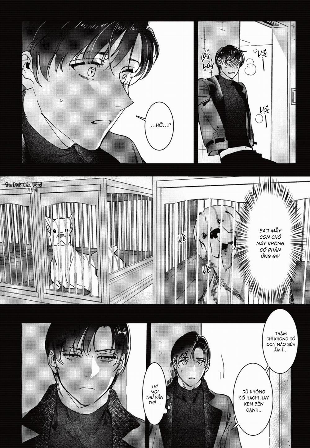 Sợi dây xích đứt 5 trang 12