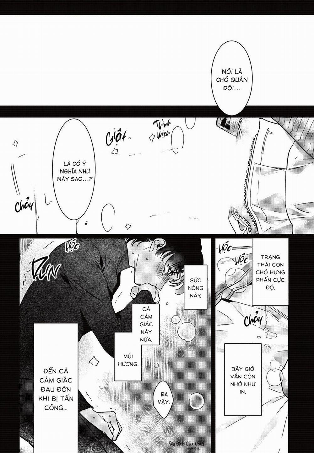 Sợi dây xích đứt 5 trang 2