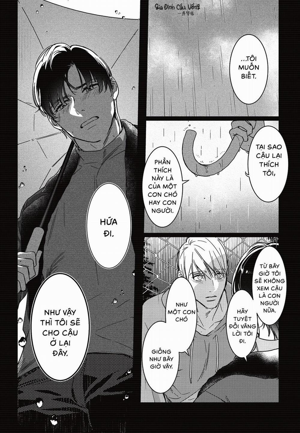 Sợi dây xích đứt 6 trang 11