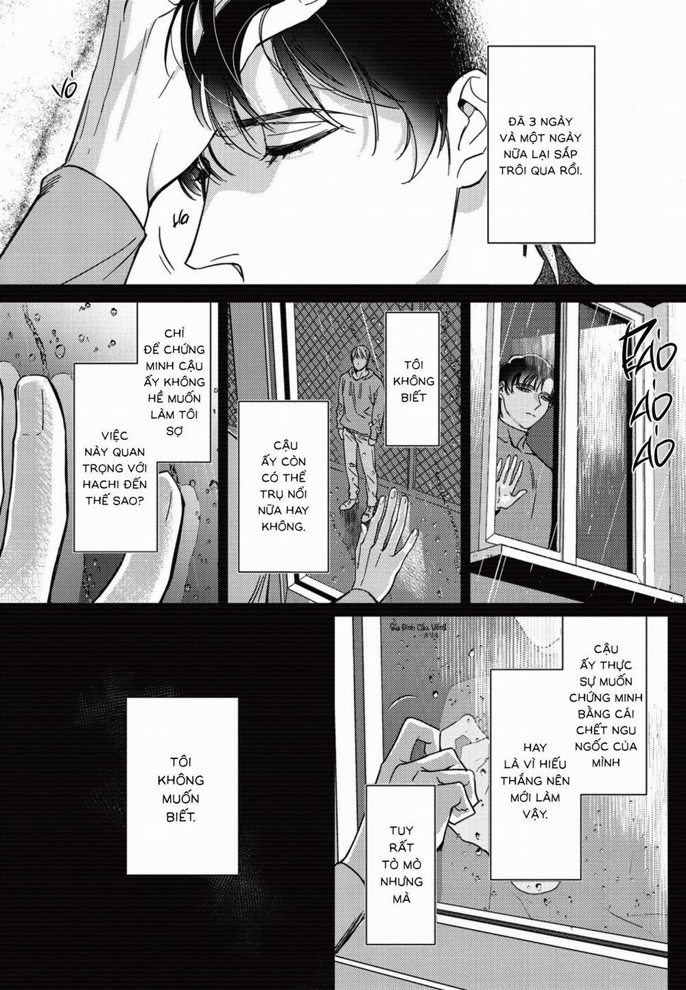 Sợi dây xích đứt 6 trang 4