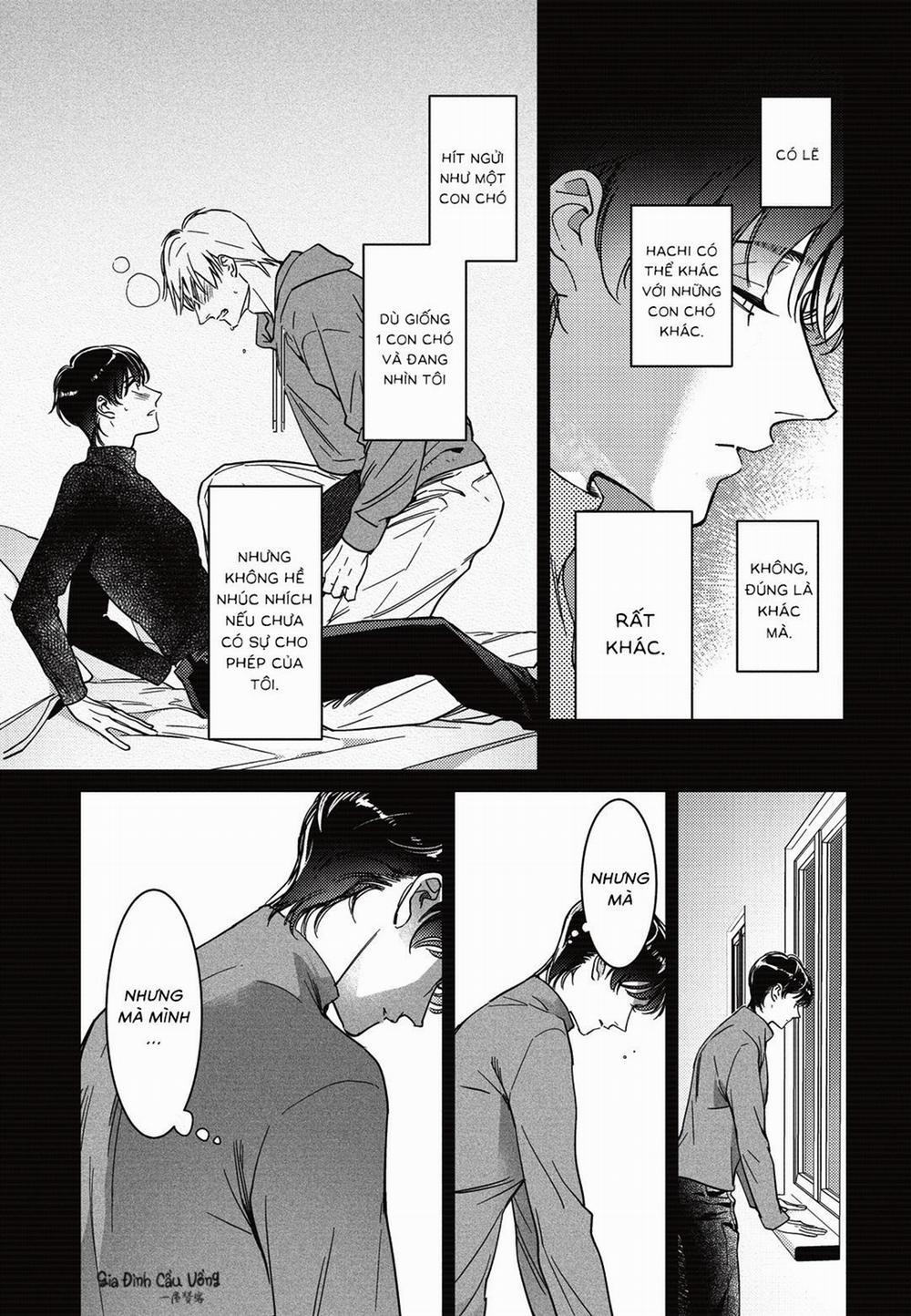 Sợi dây xích đứt 6 trang 5