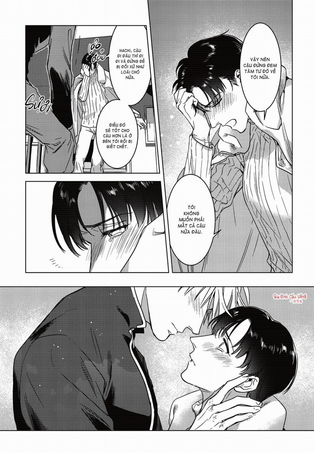 Sợi dây xích đứt 7 trang 20