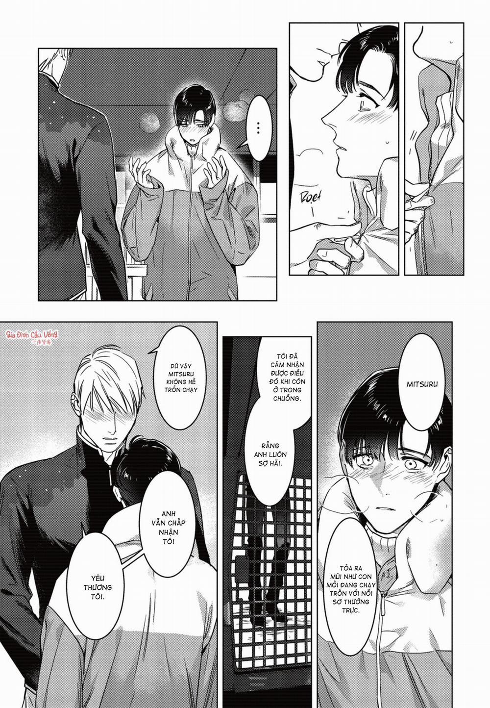 Sợi dây xích đứt 7 trang 21