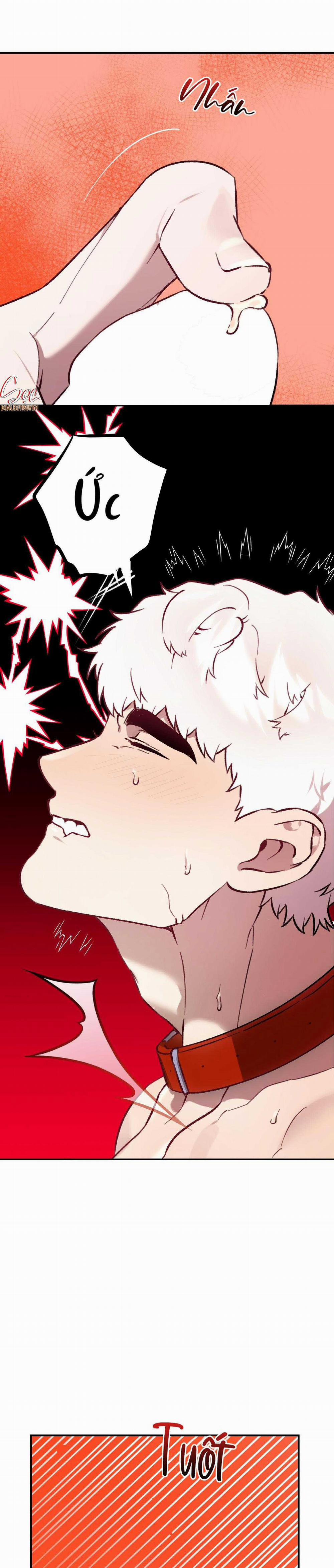 Sói Trong Lồng 23 trang 16