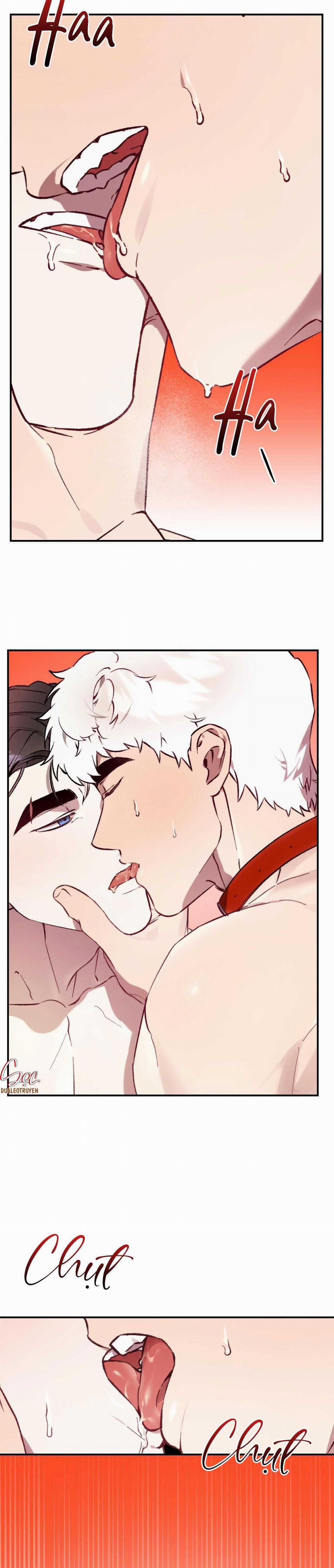 Sói Trong Lồng 23 trang 19