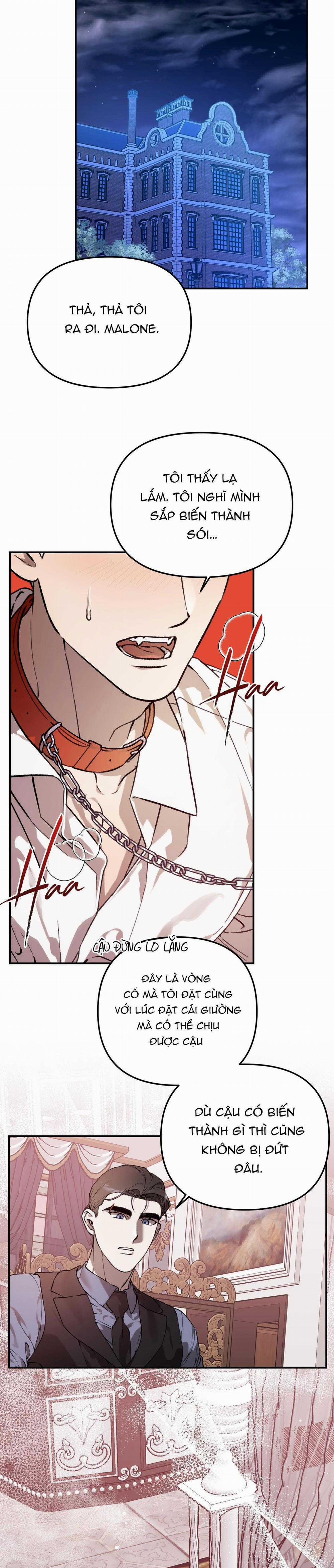 Sói Trong Lồng 23 trang 4