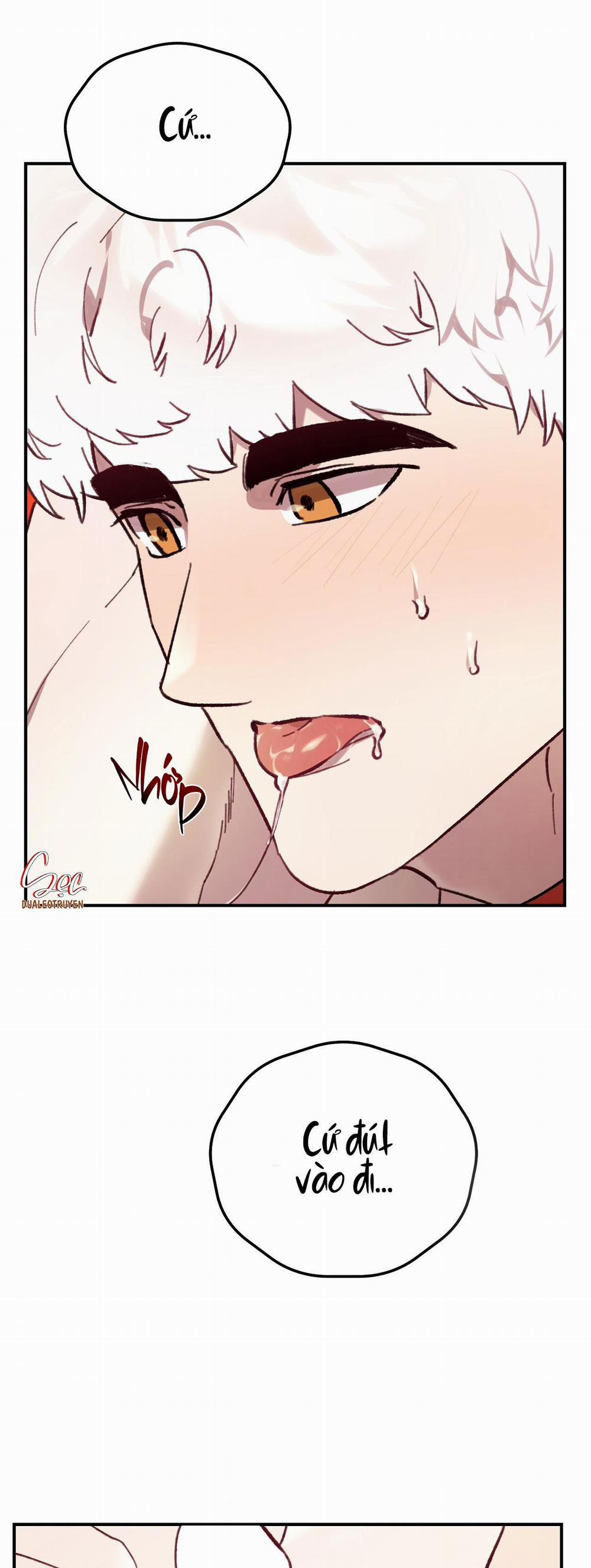 Sói Trong Lồng 24 trang 1