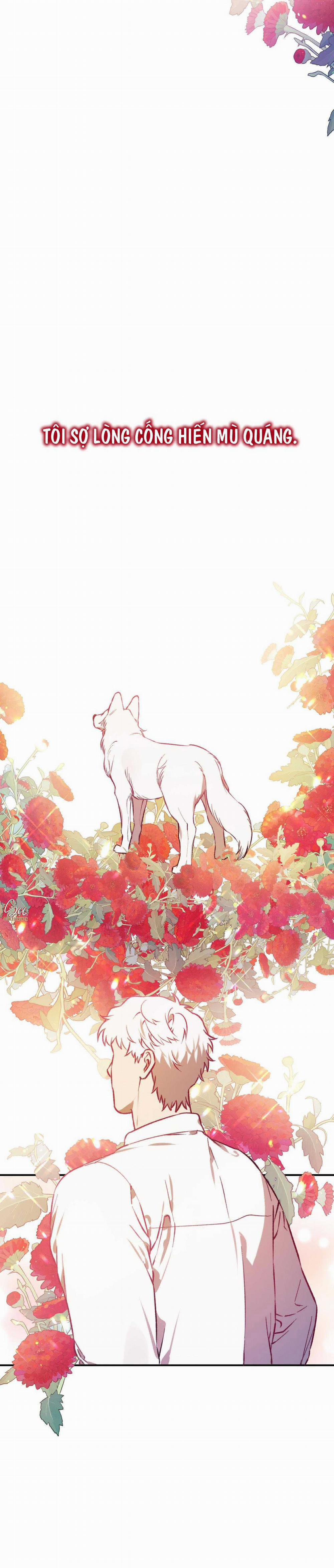 Sói Trong Lồng 32 trang 39