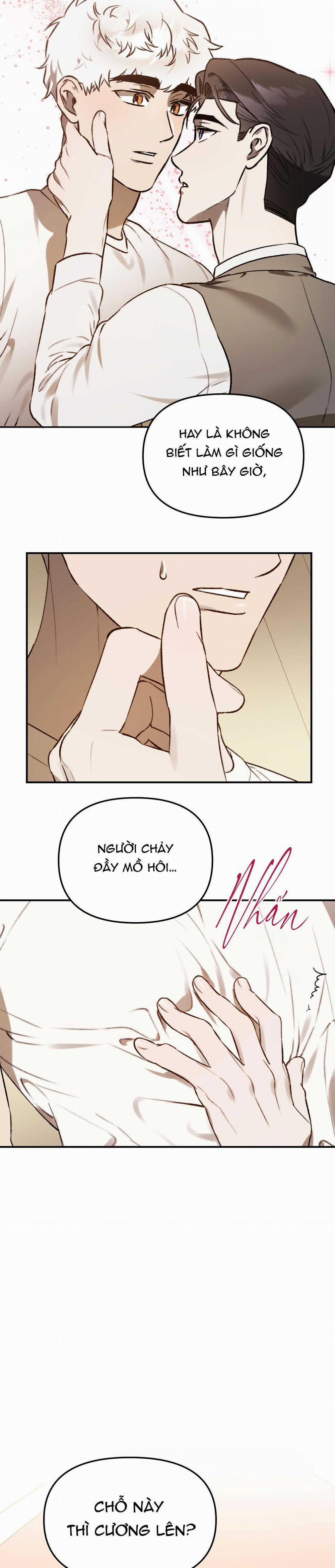 Sói Trong Lồng 33 trang 17