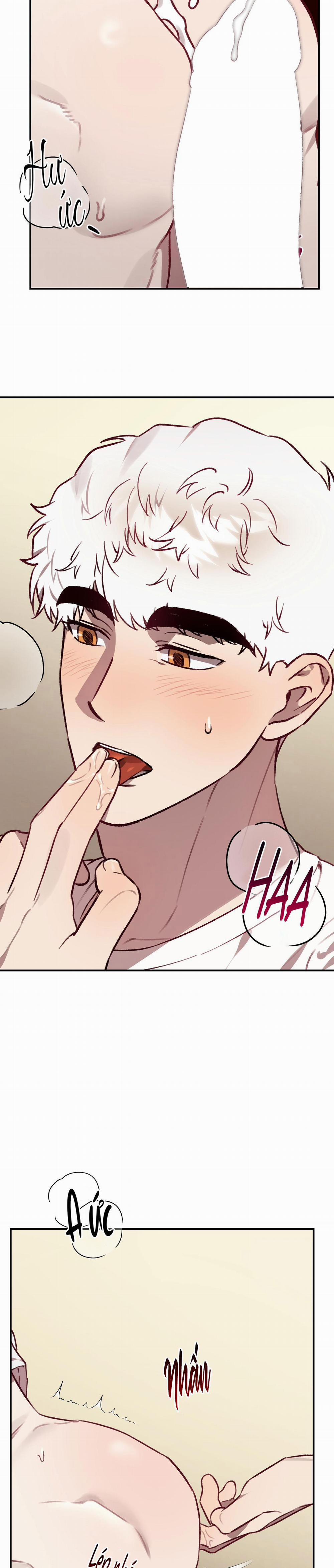 Sói Trong Lồng 34 END trang 8