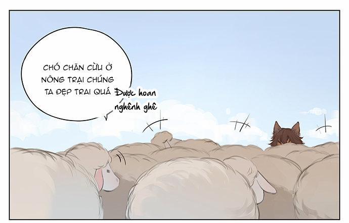 SÓI VÀ CHÓ CHĂN CỪU 2 trang 0