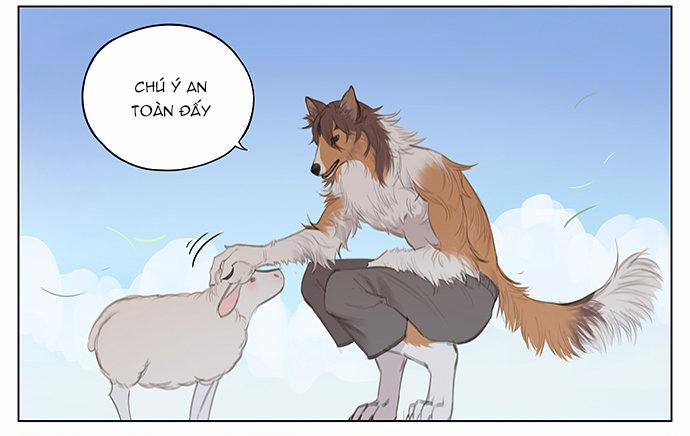 SÓI VÀ CHÓ CHĂN CỪU 2 trang 5