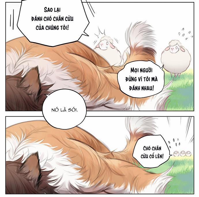 SÓI VÀ CHÓ CHĂN CỪU 3 trang 6