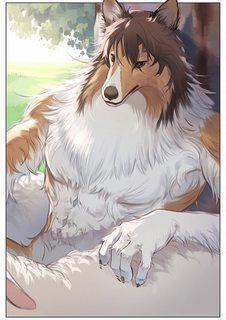 Đọc truyện tranh SÓI VÀ CHÓ CHĂN CỪU