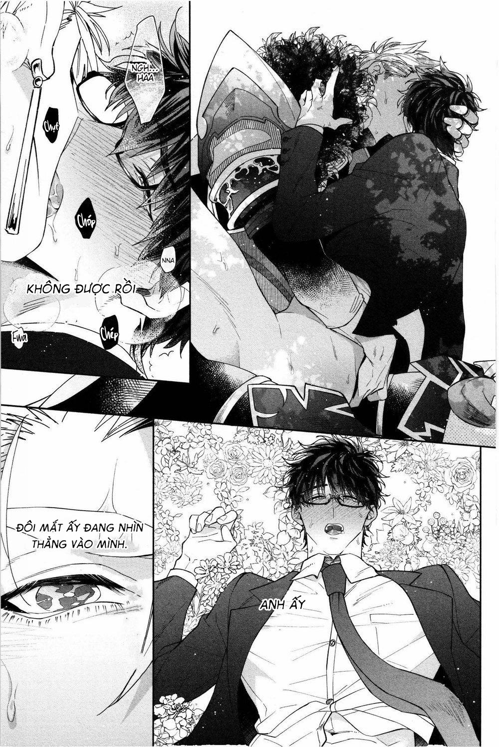 Sống Cùng Chàng Kỵ Sĩ 5 trang 26