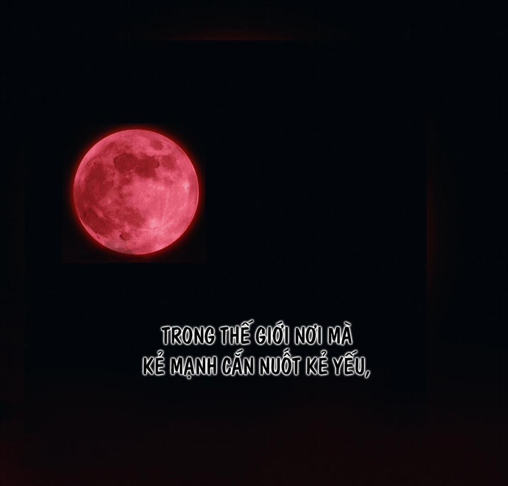 Sống Sót Nhờ Làm Vợ Bé Của Ma Giáo Chủ 12 trang 0