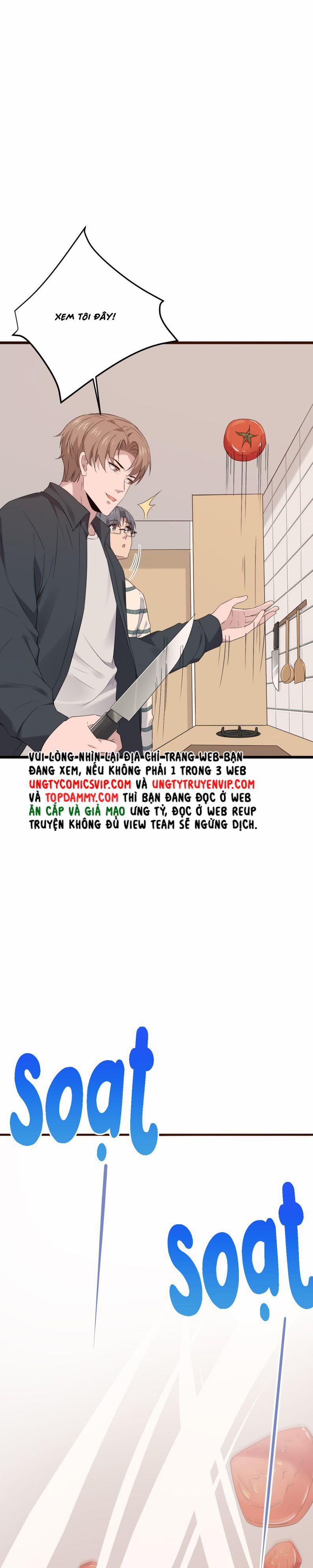 Song Trình 33 trang 3