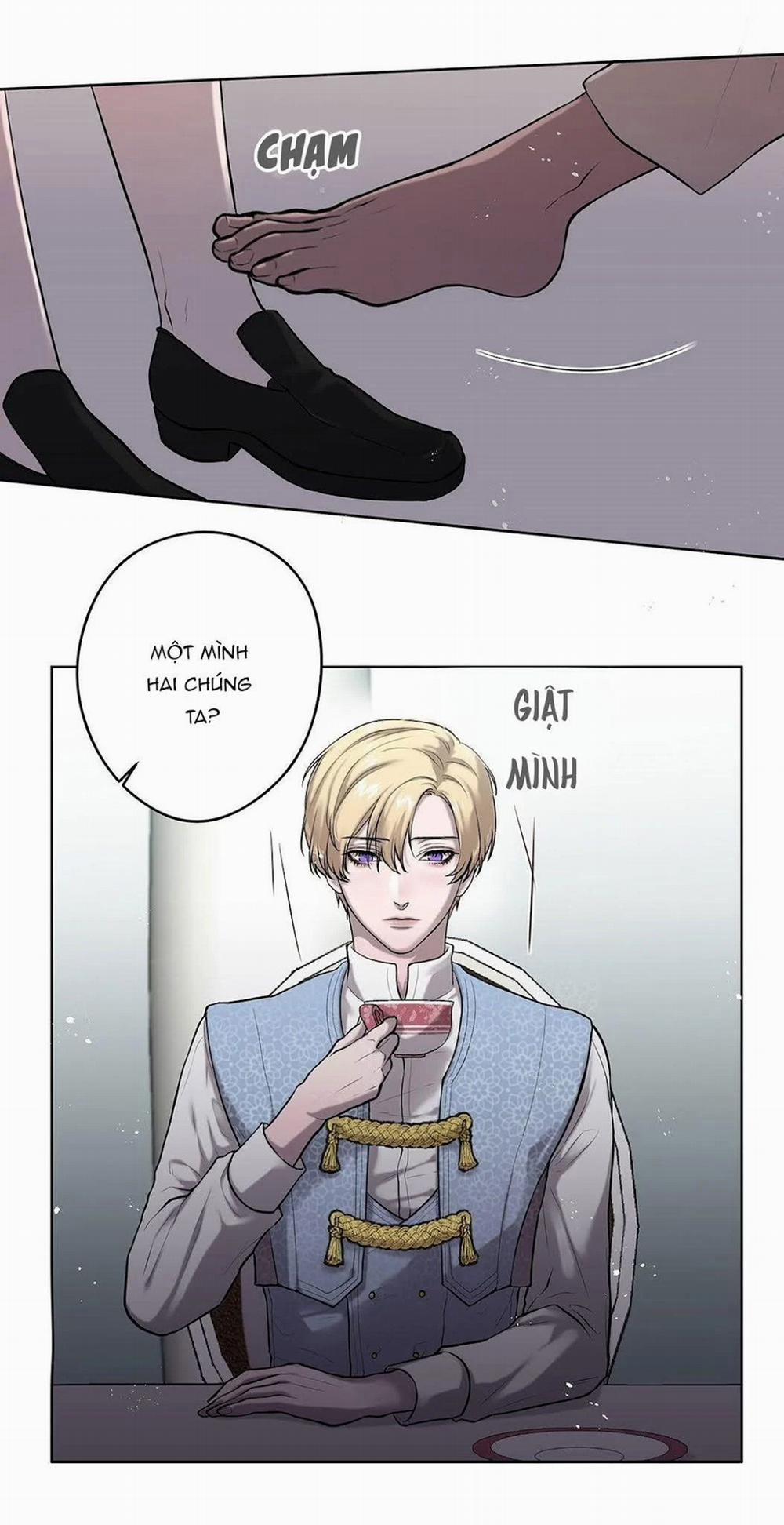 Spinel 10.2 trang 12