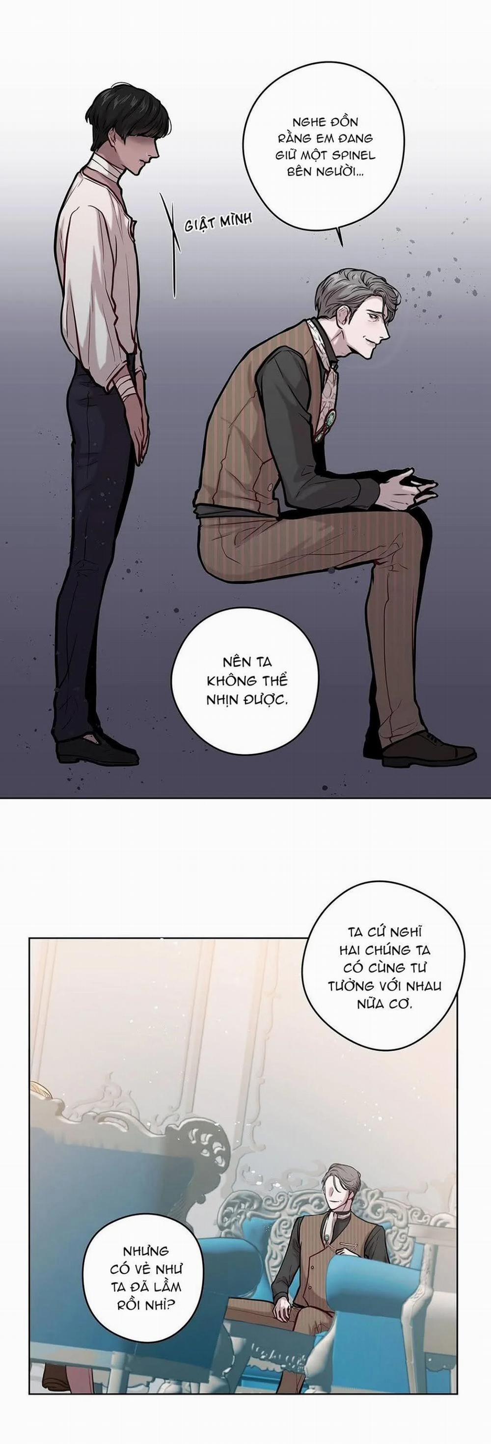 Spinel 12 trang 17