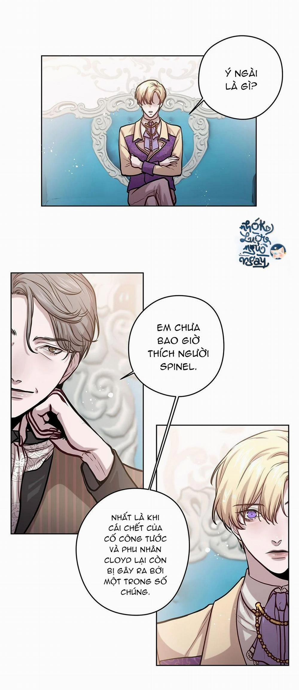 Spinel 12 trang 18