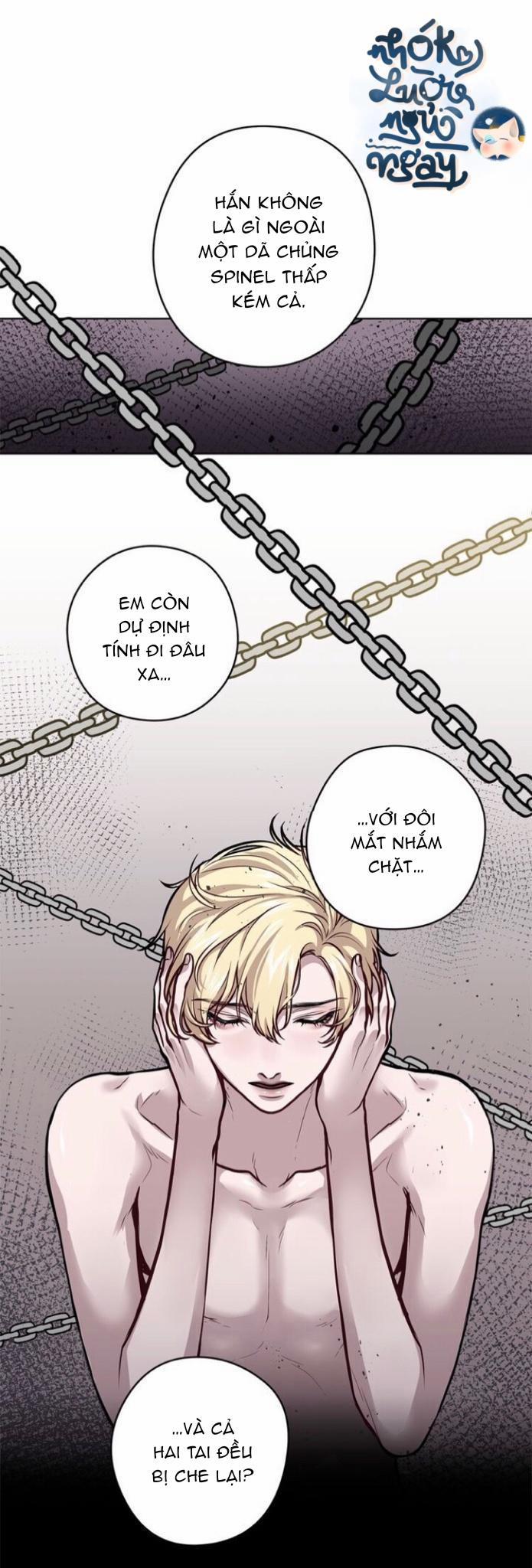 Spinel 20 trang 18