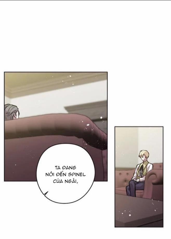 Spinel 20 trang 24