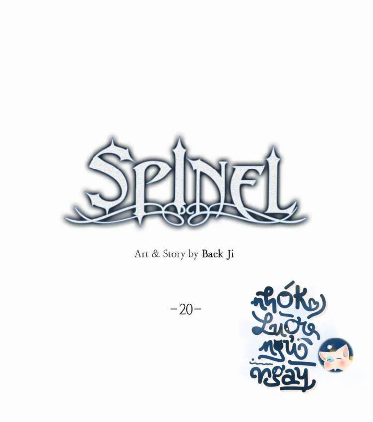 Spinel 20 trang 9