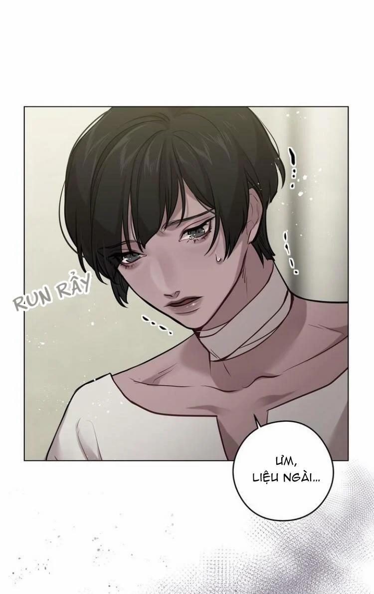 Spinel 21.2 trang 21