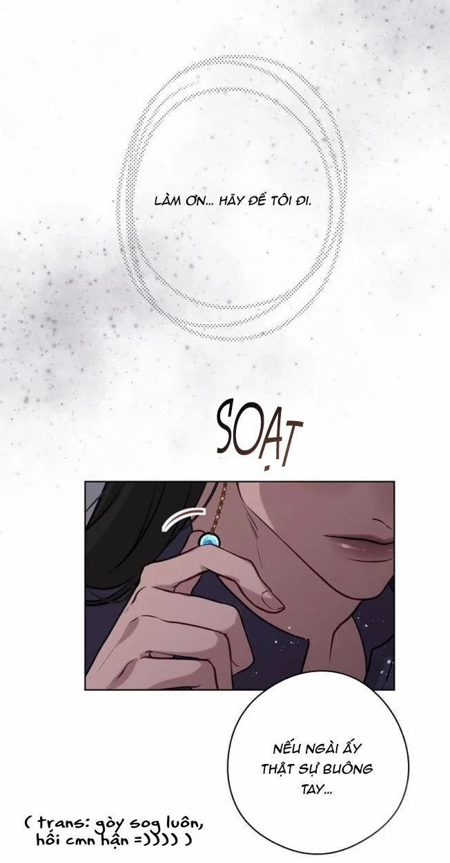 Spinel 24.1 trang 17