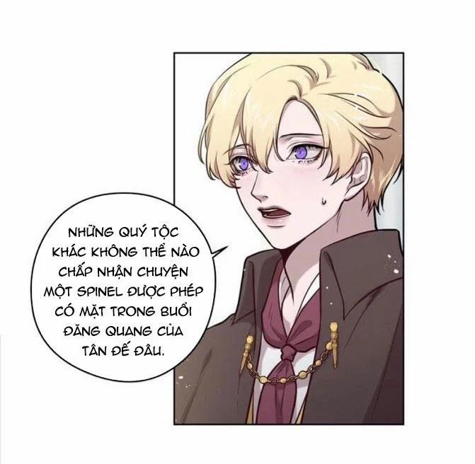 Spinel 24.1 trang 2