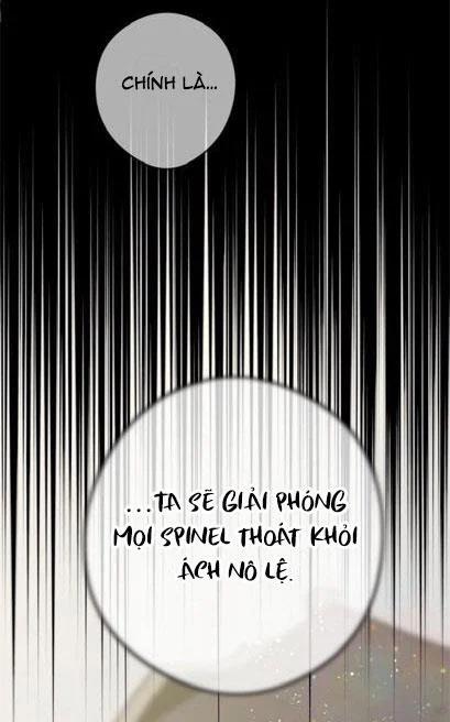 Spinel 24.2 trang 21