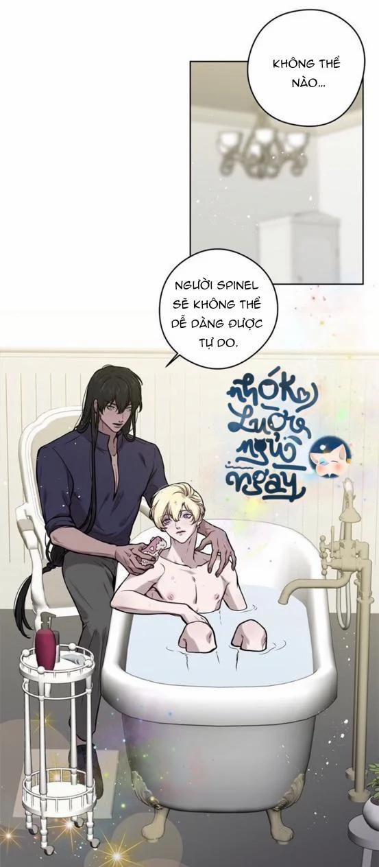 Spinel 25 trang 2