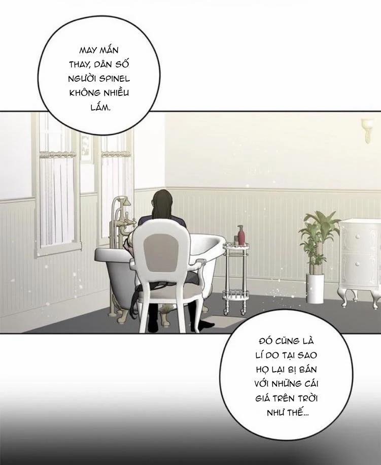 Spinel 25 trang 5