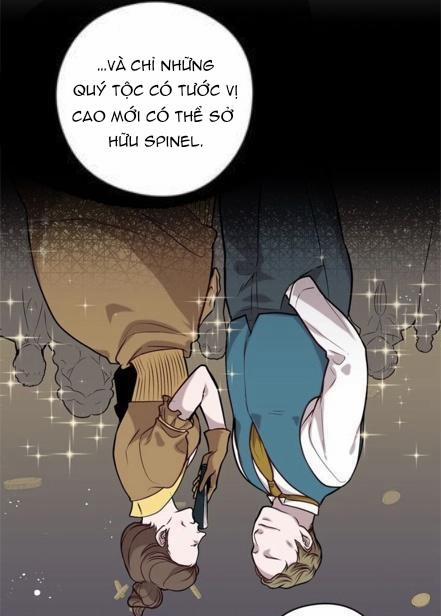 Spinel 25 trang 6