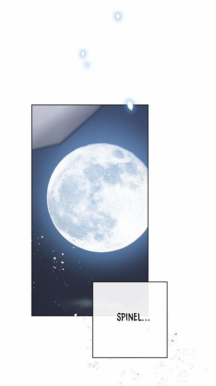 Spinel 27 trang 34