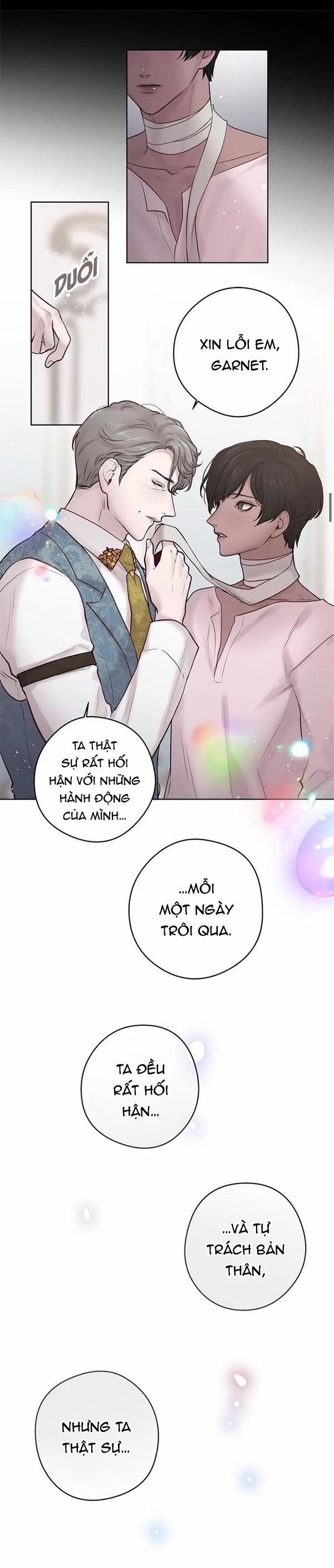 Spinel 28 trang 15