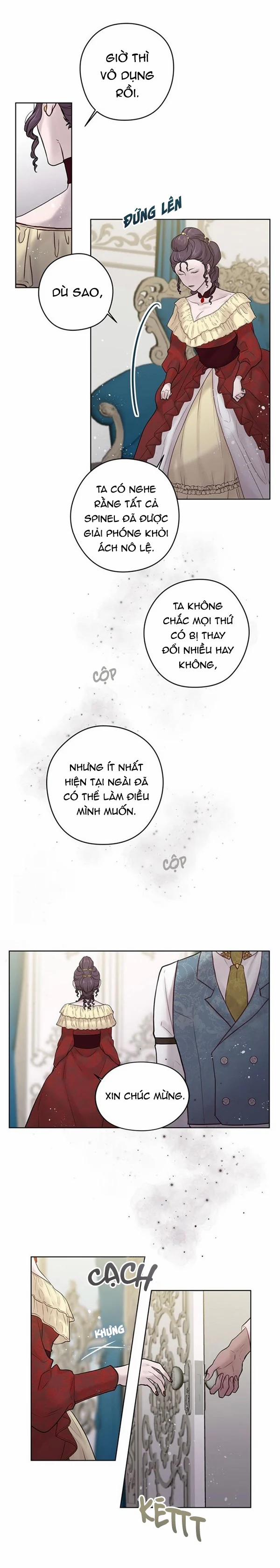 Spinel 28 trang 5